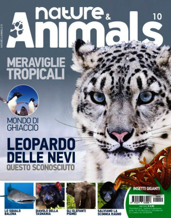 Nature & Animals # 10